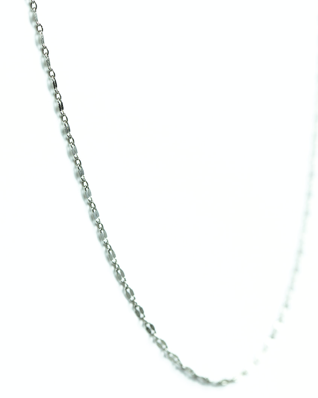 Silver Delicate Necklace - Shop Simply Apparel