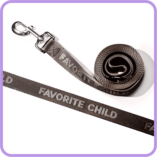 Favorite Child Brown Dog Leash