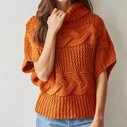 Burnt Orange Aris Turtleneck Sweater