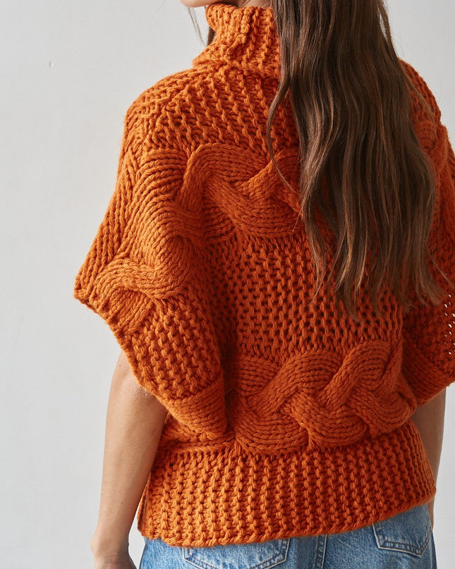 Burnt Orange Aris Turtleneck Sweater