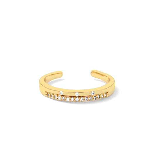 Gold Delicate Double Row Pave Ring