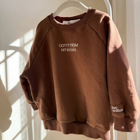 Kids Brown Sweatshirt