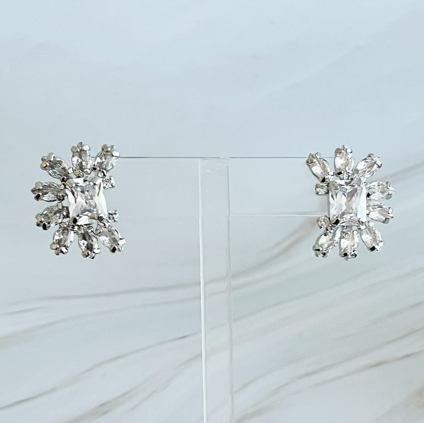 Shine Jewel Stud Earrings