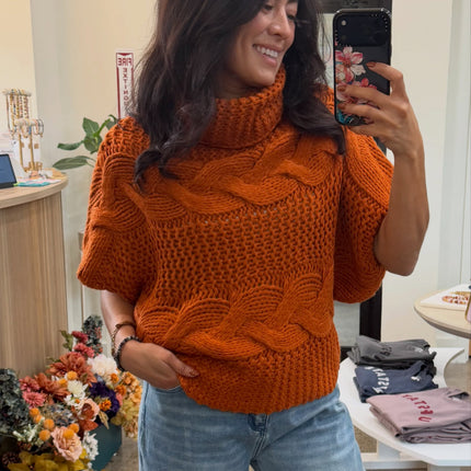 Burnt Orange Aris Turtleneck Sweater