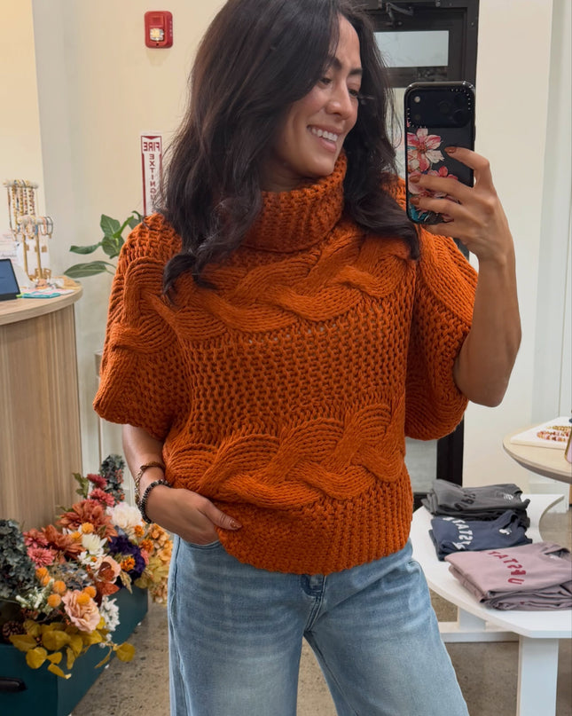 Burnt Orange Aris Turtleneck Sweater